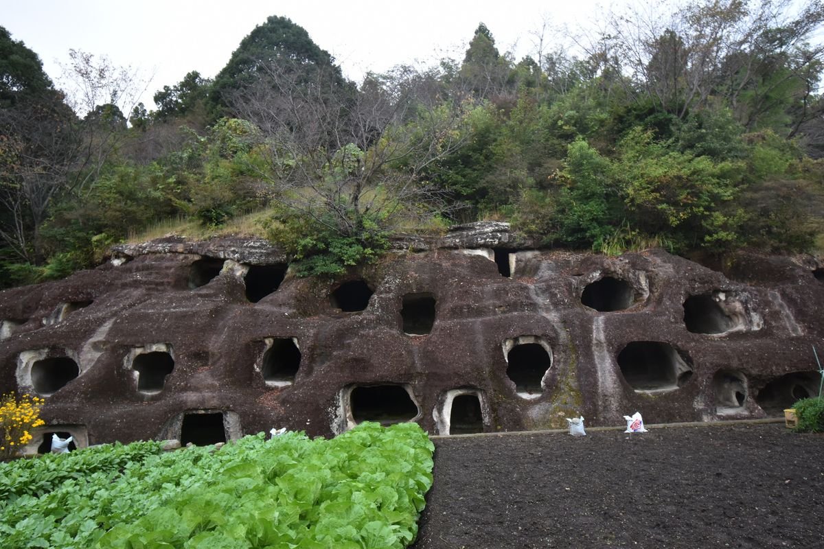 🗿 나가오카 백혈 고분(나가오카햐쿠아나코훈) 이미지 6
